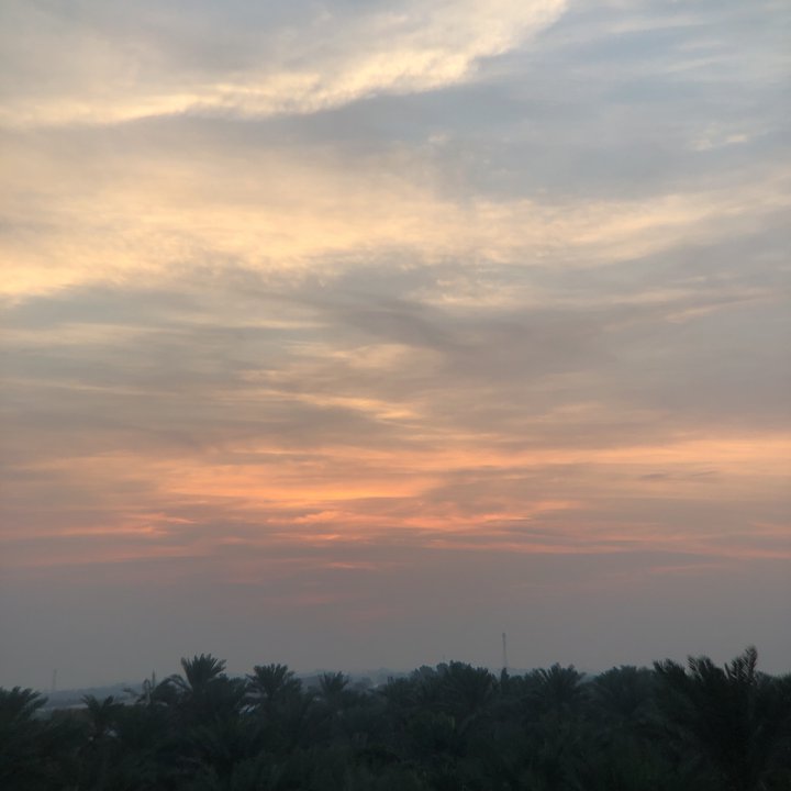 مشاركاتي في أنت الراصد