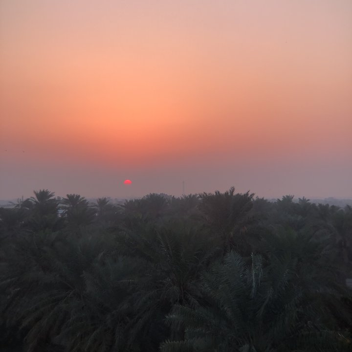 مشاركاتي في أنت الراصد