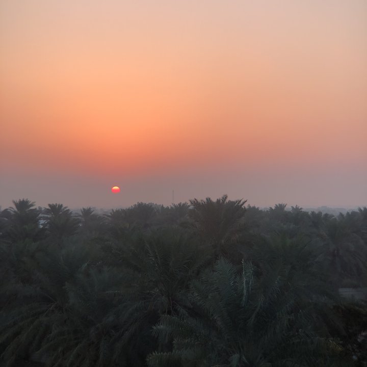 مشاركاتي في أنت الراصد