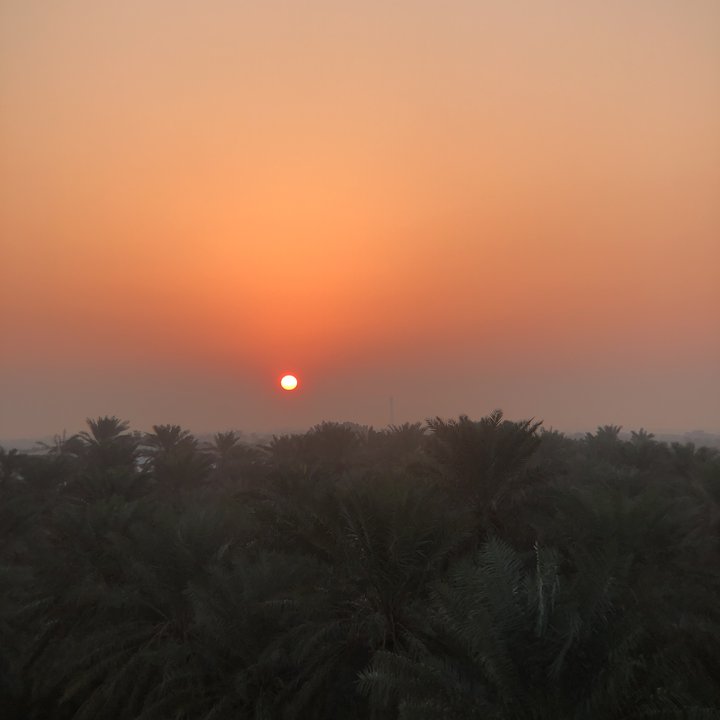 مشاركاتي في أنت الراصد