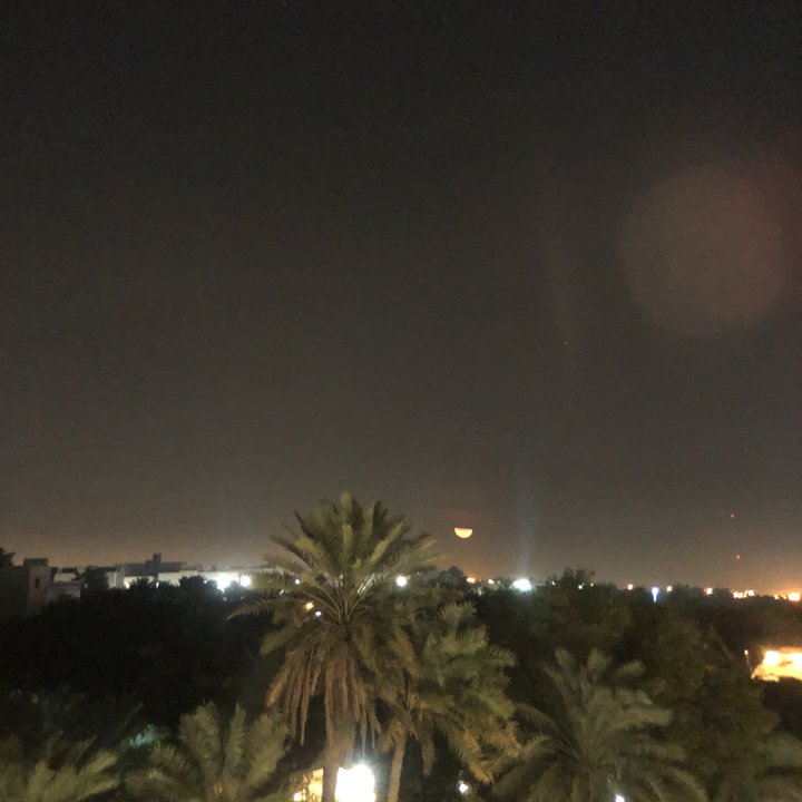 مشاركاتي في أنت الراصد