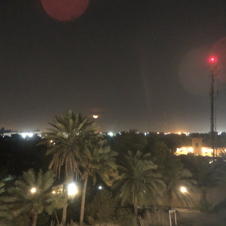 مشاركاتي في أنت الراصد