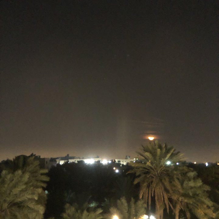 مشاركاتي في أنت الراصد