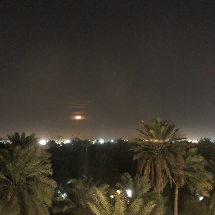 مشاركاتي في أنت الراصد