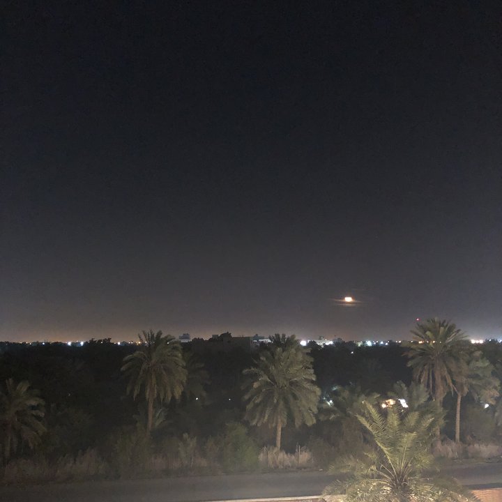 مشاركاتي في أنت الراصد