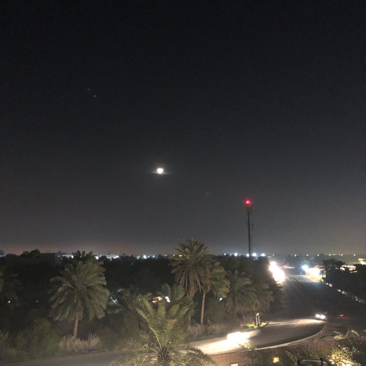 مشاركاتي في أنت الراصد