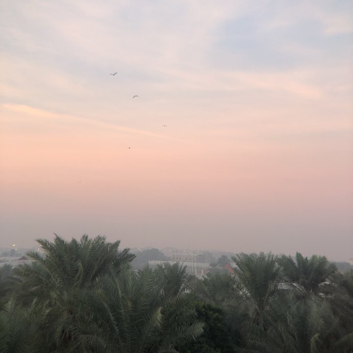 مشاركاتي في أنت الراصد