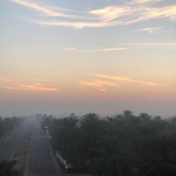 مشاركاتي في أنت الراصد