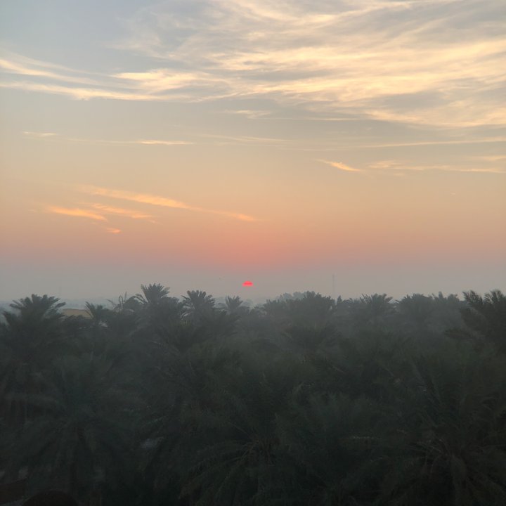 مشاركاتي في أنت الراصد