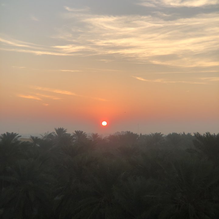 مشاركاتي في أنت الراصد