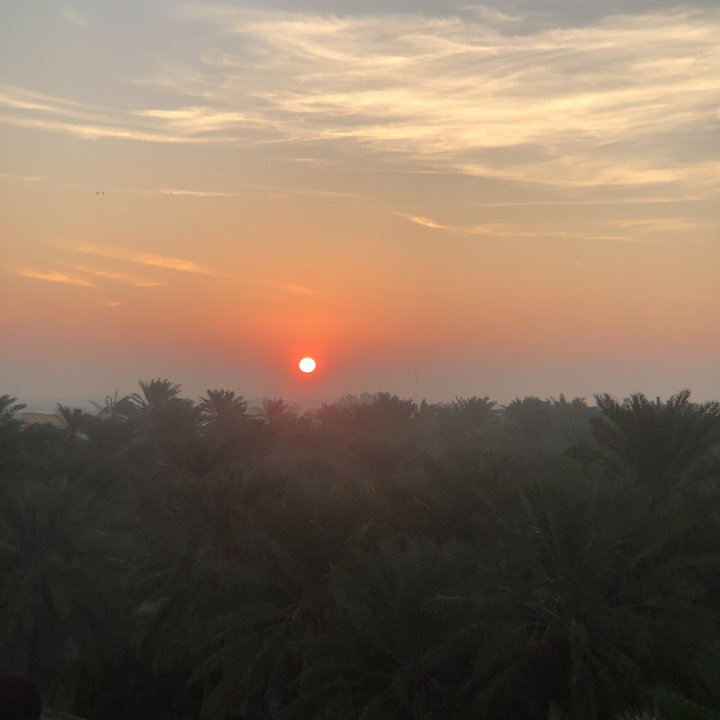 مشاركاتي في أنت الراصد