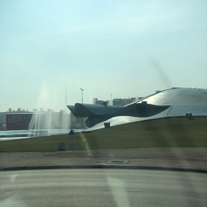 مشاركاتي في أنت الراصد