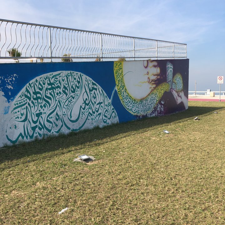 مشاركاتي في أنت الراصد