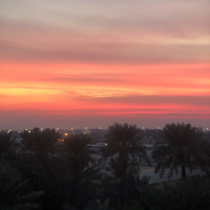 مشاركاتي في أنت الراصد