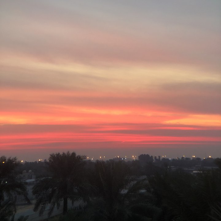 مشاركاتي في أنت الراصد