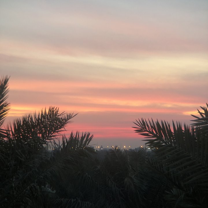 مشاركاتي في أنت الراصد