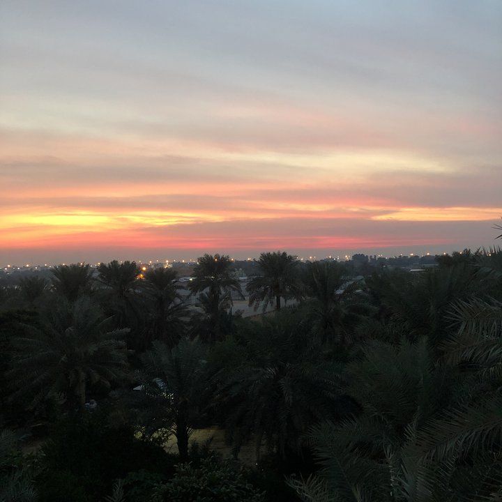 مشاركاتي في أنت الراصد