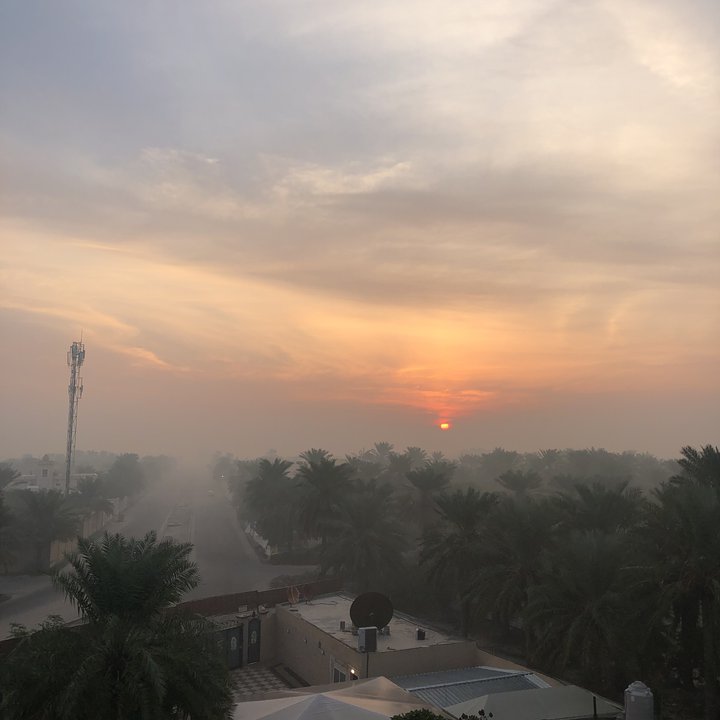 مشاركاتي في أنت الراصد