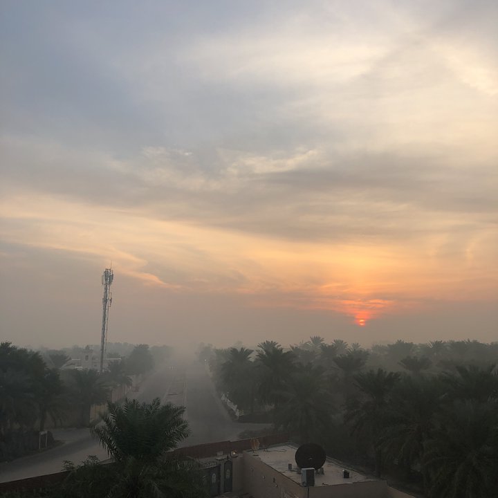 مشاركاتي في أنت الراصد