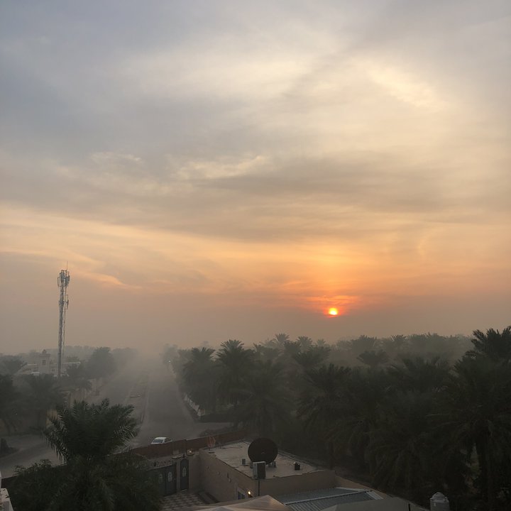 مشاركاتي في أنت الراصد