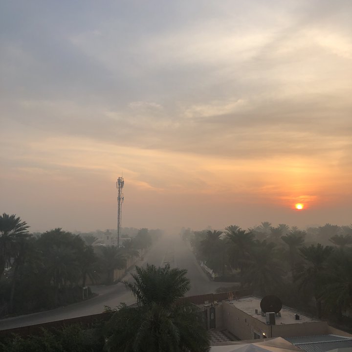 مشاركاتي في أنت الراصد