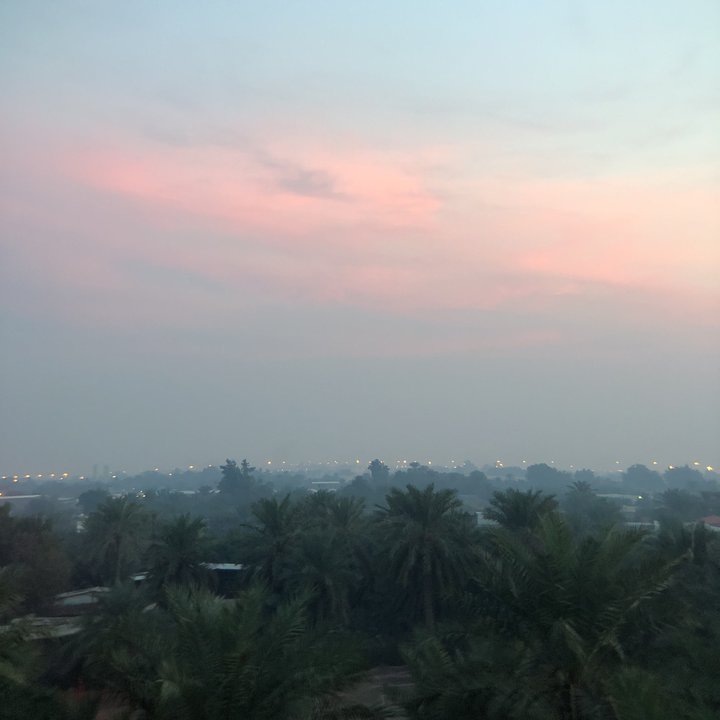 مشاركاتي في أنت الراصد