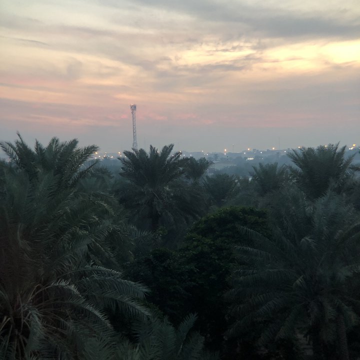 مشاركاتي في أنت الراصد