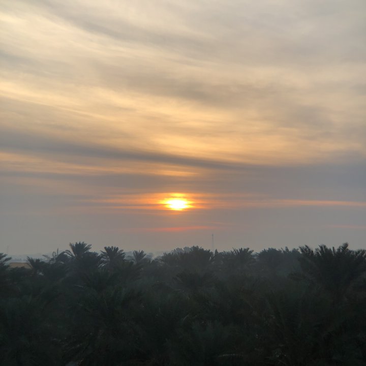 مشاركاتي في أنت الراصد