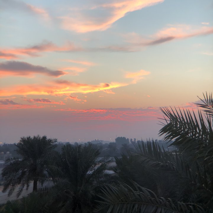 مشاركاتي في أنت الراصد