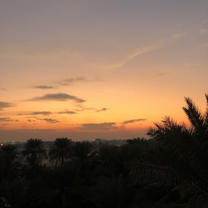 مشاركاتي في أنت الراصد