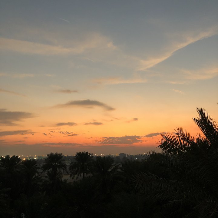 مشاركاتي في أنت الراصد