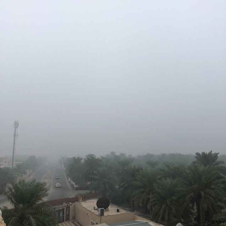 مشاركاتي في أنت الراصد