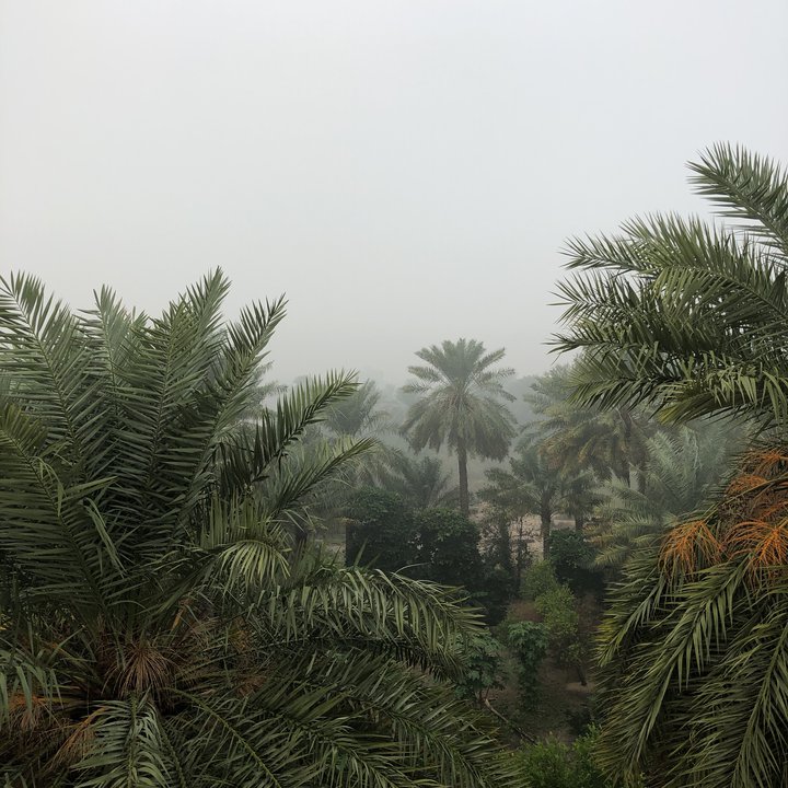 مشاركاتي في أنت الراصد