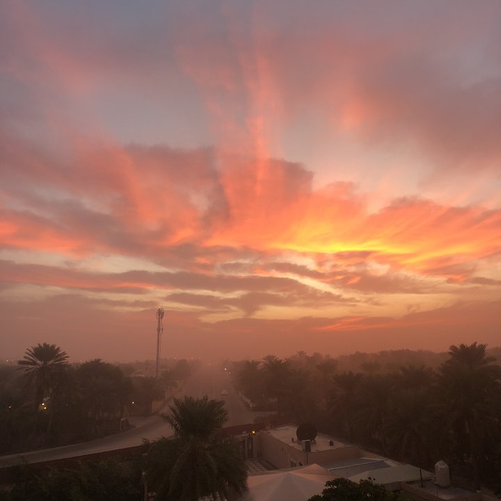 مشاركاتي في أنت الراصد