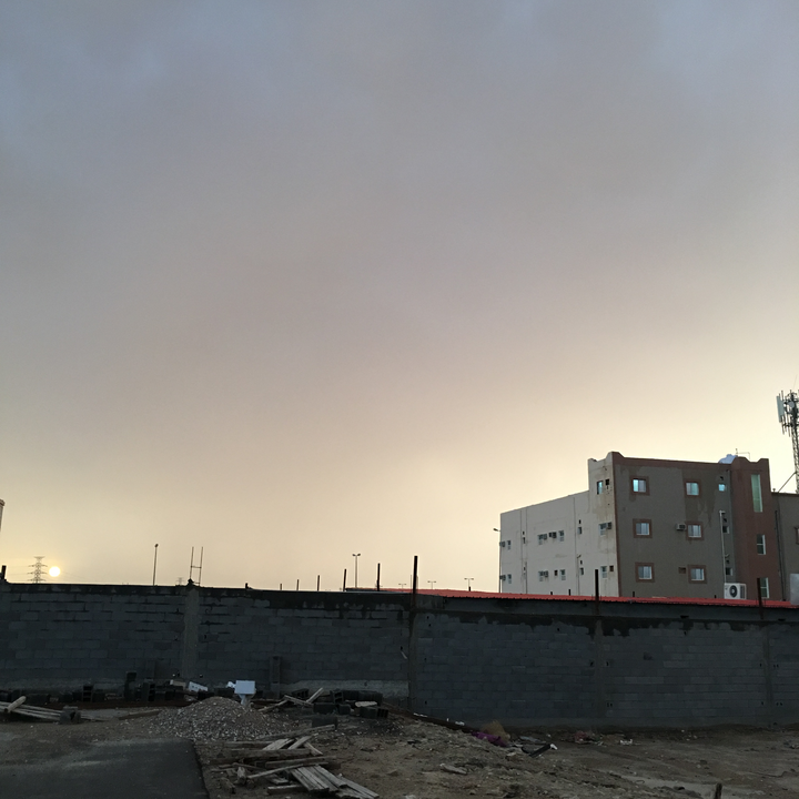 مشاركاتي في أنت الراصد