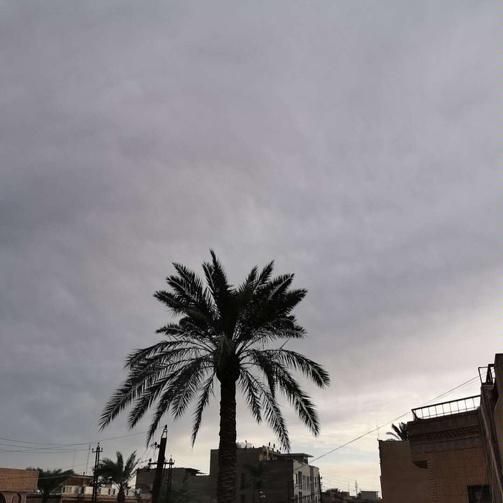 مشاركاتي في أنت الراصد