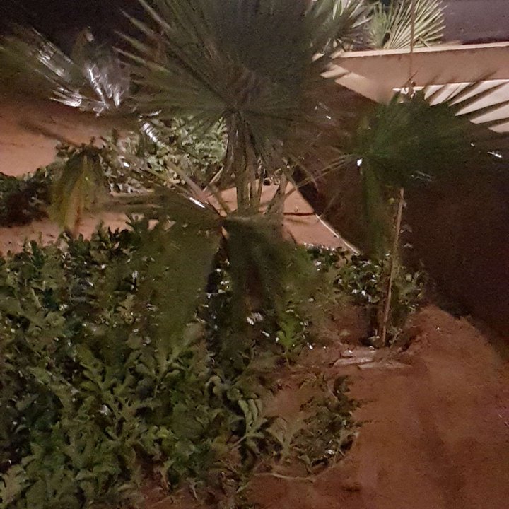 My Crowdsourcing Posts