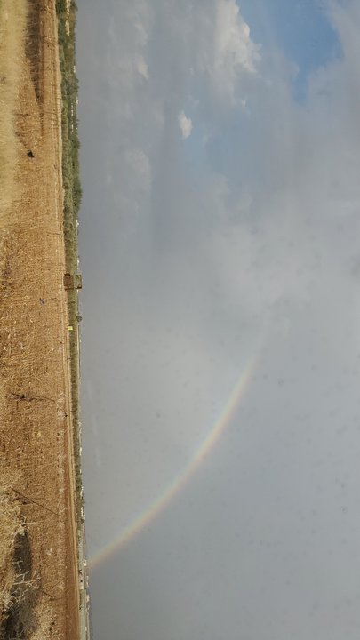 مشاركاتي في أنت الراصد