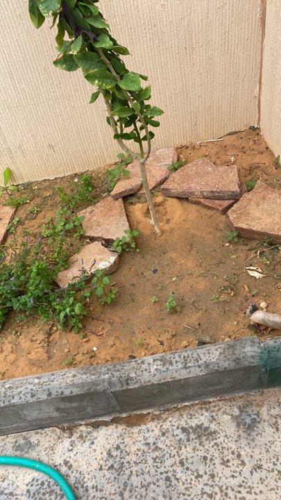 My Crowdsourcing Posts