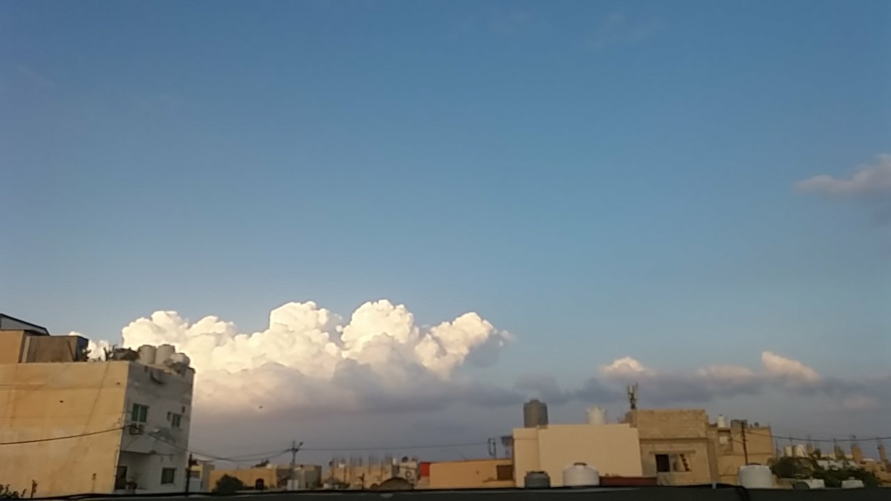 مشاركاتي في أنت الراصد