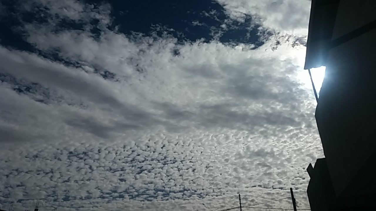 مشاركاتي في أنت الراصد