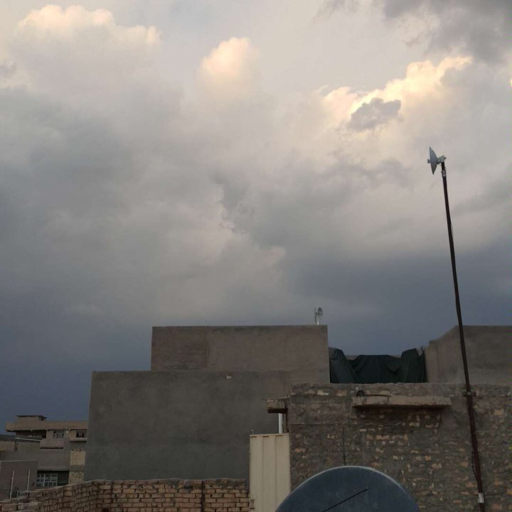 مشاركاتي في أنت الراصد