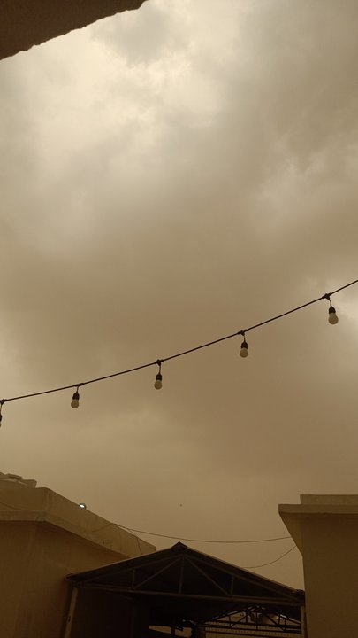مشاركاتي في أنت الراصد