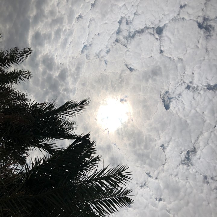 My Crowdsourcing Posts