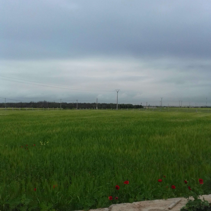 My Crowdsourcing Posts