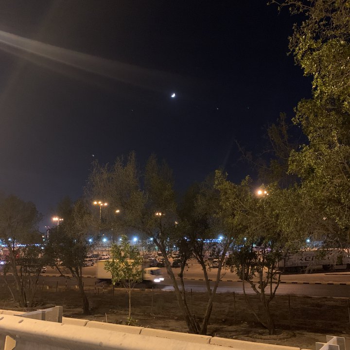 مشاركاتي في أنت الراصد