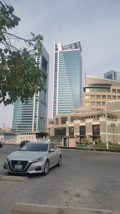 مشاركاتي في أنت الراصد