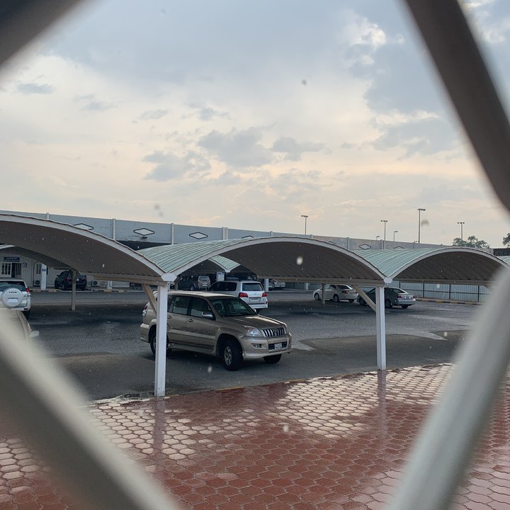 مشاركاتي في أنت الراصد