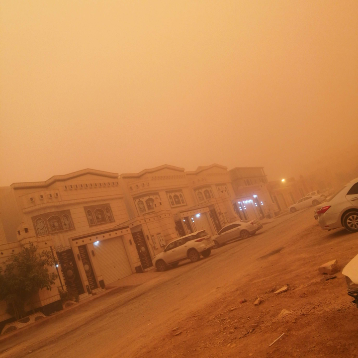 مشاركاتي في أنت الراصد