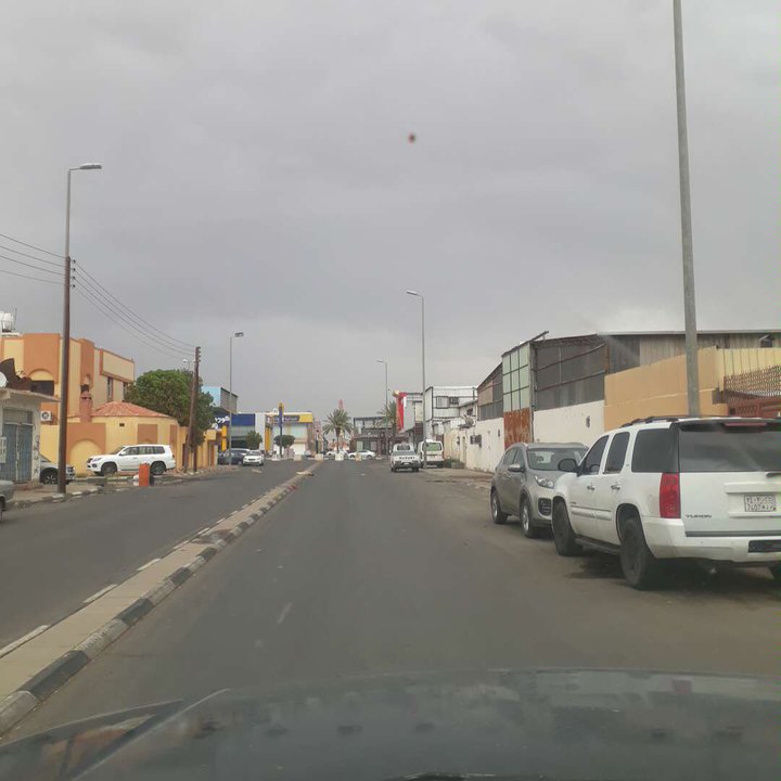 مشاركاتي في أنت الراصد